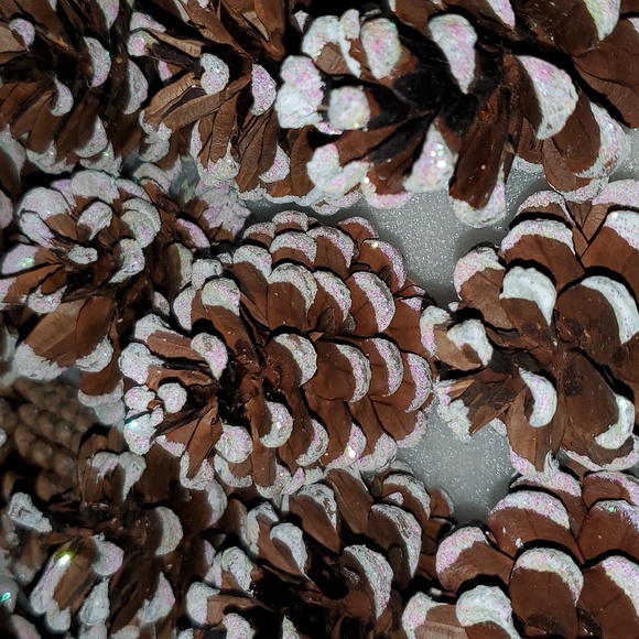 Pine Cones White Tips Glittered - Picture 2 of 5